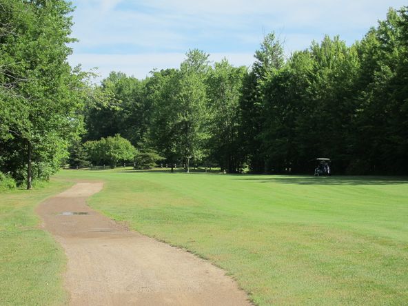 Michigan Meadows: 4575 County Line Rd, Casco, MI 48064